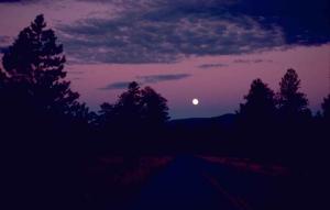 moon-over-red-canyon-dusk-time_w725_h462